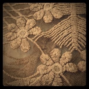 Sheer brown/mauve embroidered top (L)